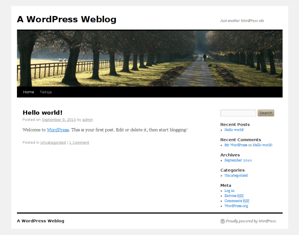 How to create a professional WordPress blog in under an hour